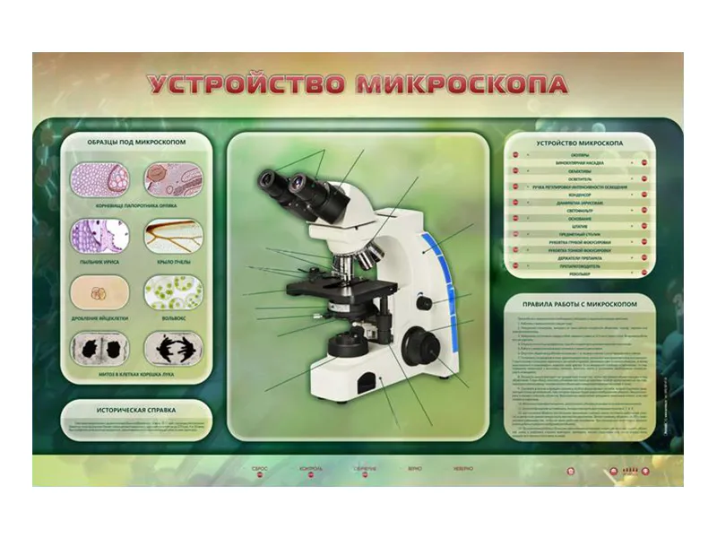 Стенд электризированный «Устройство микроскопа» 1500×1000 мм