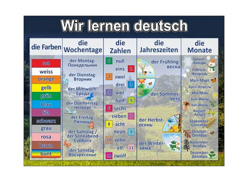 Стенд Изучаем немецкий язык