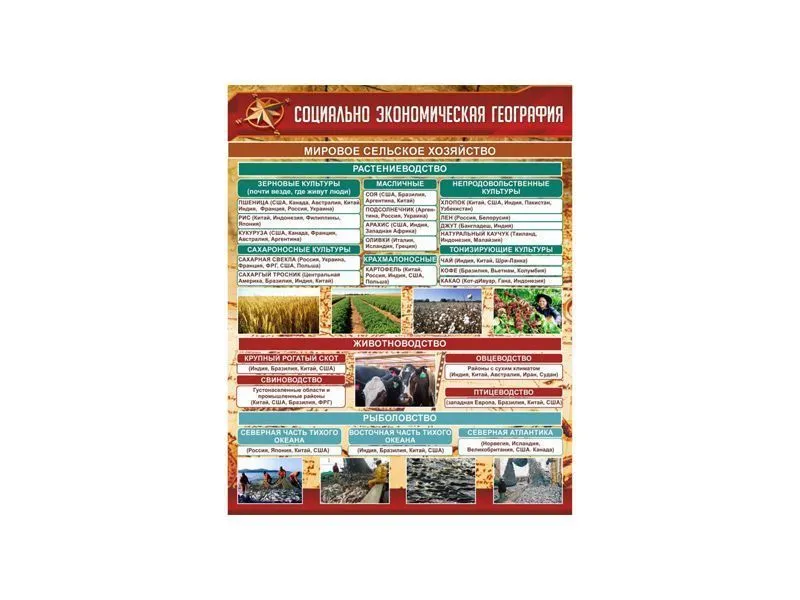 СТЕНД СОЦИАЛЬНО-ЭКОНОМИЧЕСКАЯ ГЕОГРАФИЯ. СЕЛЬСКОЕ ХОЗЯЙСТВО
