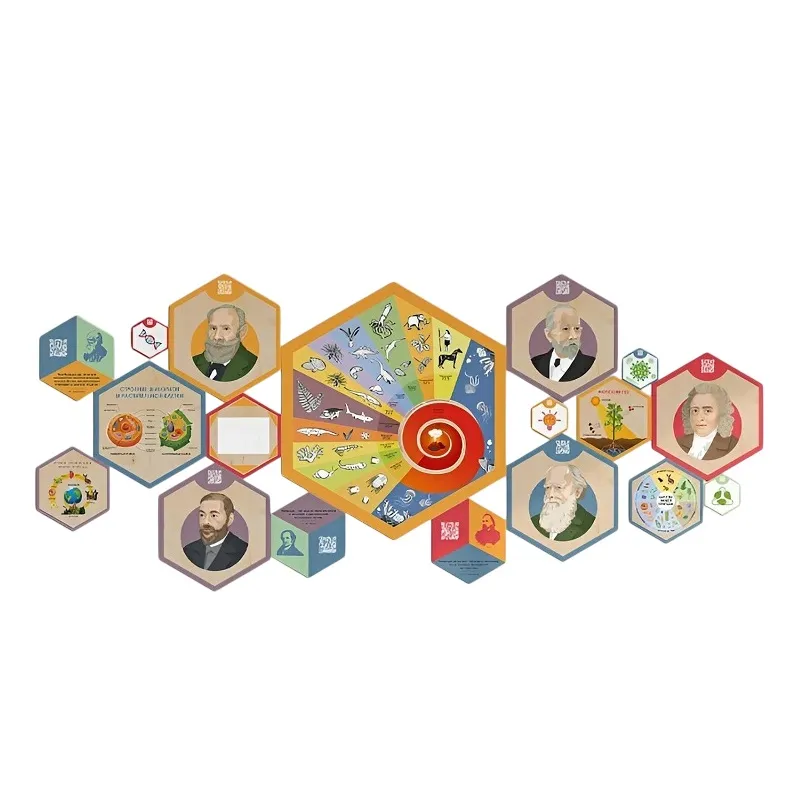 Стендум «Биология» — набор из 18 гексагональных панелей