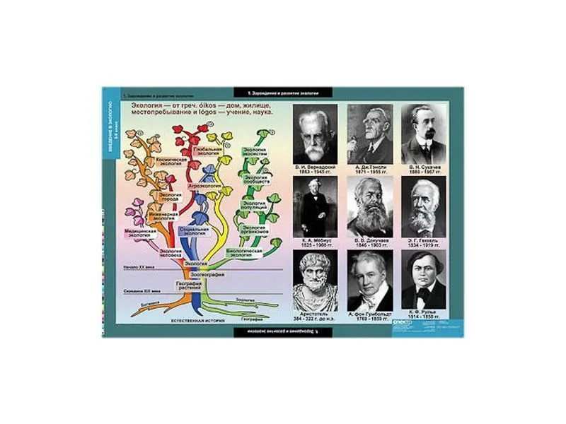 Таблицы демонстрационные «Введение в экологию» — 18 листов