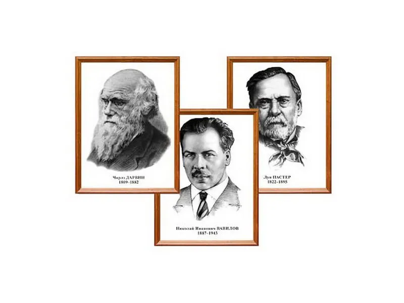 Портреты выдающихся биологов, комплект 8 шт., в деревянных рамках