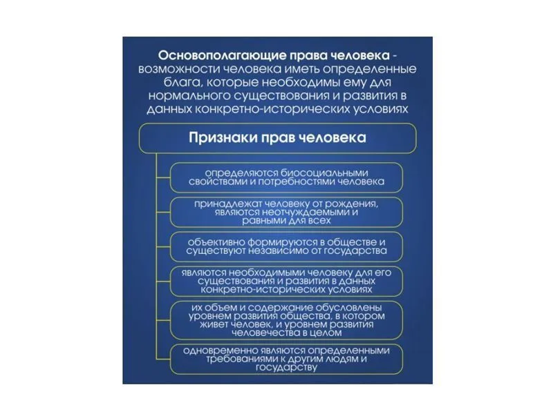 ОСНОВОПОЛАГАЮЩИЕ ПРАВА ЧЕЛОВЕКА — стенд 80×90 см