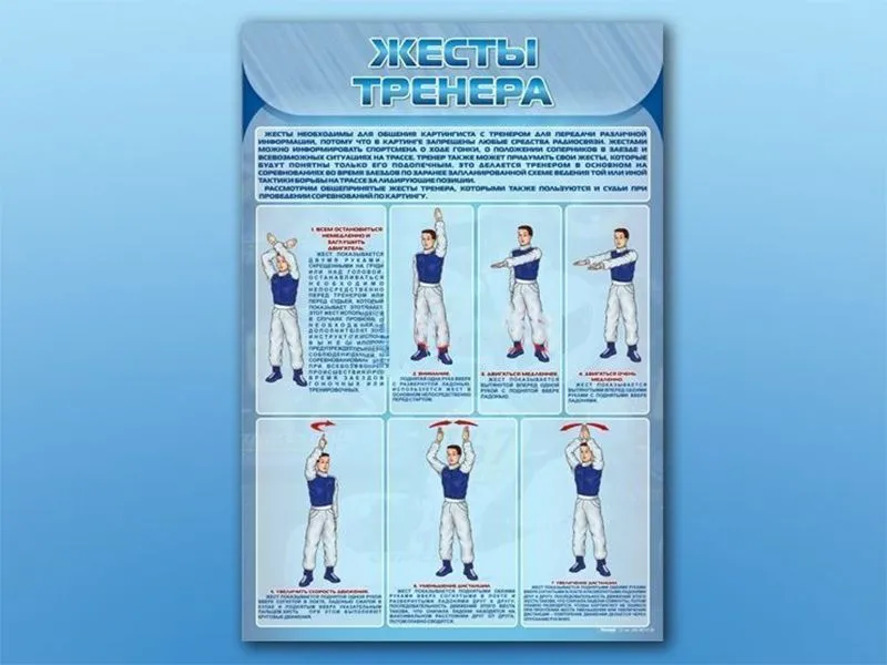 Стенд по ПДД Жесты тренера, 70х100 см