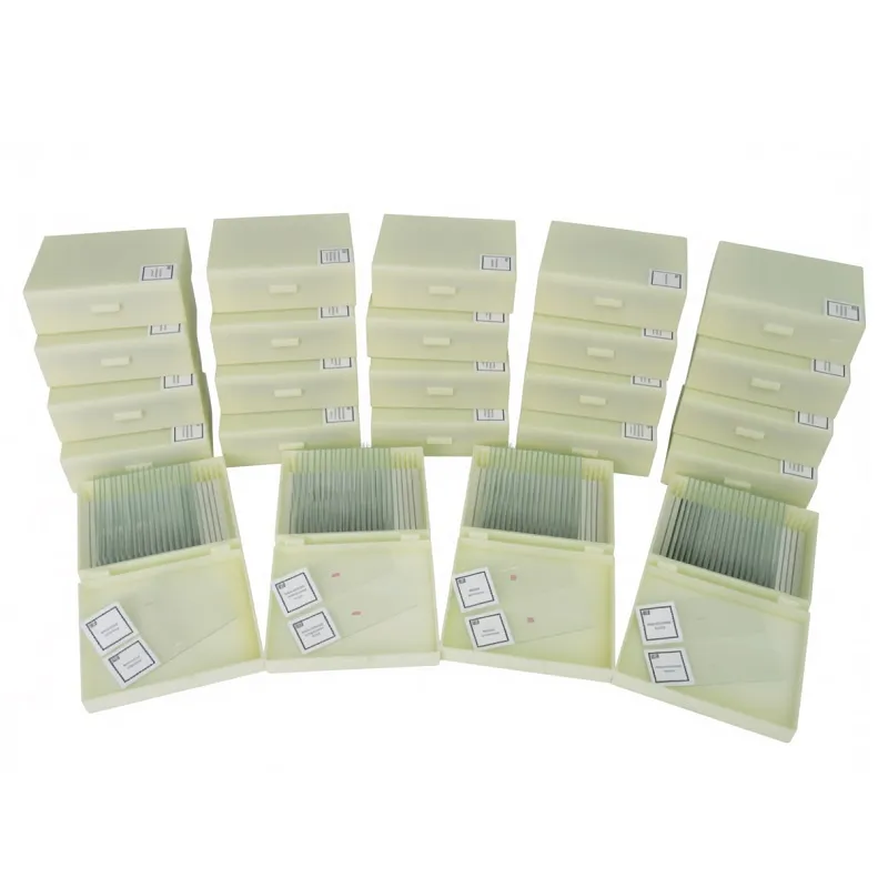 Комплект микропрепаратов Анатомия‑Проф — на 20 учеников