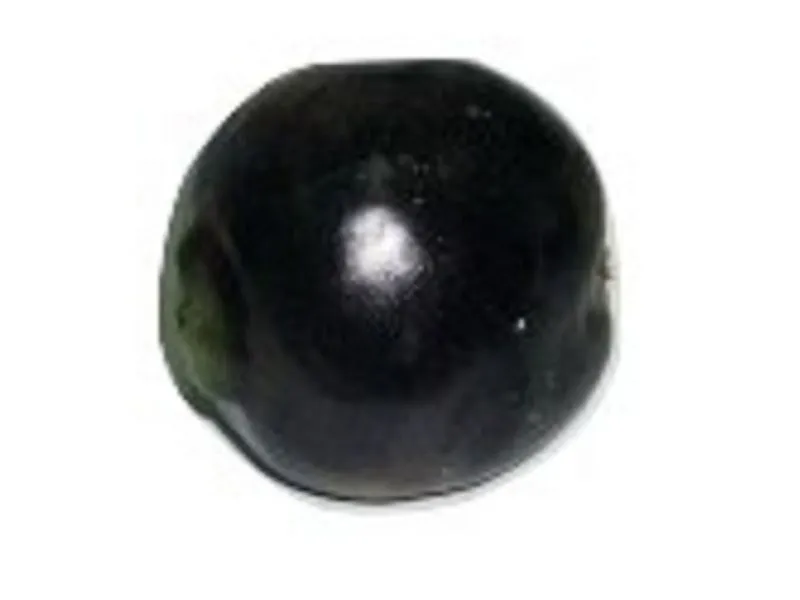 Муляж редьки — натуральная величина