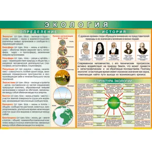 Комплект таблиц «Экология» — 8 листов