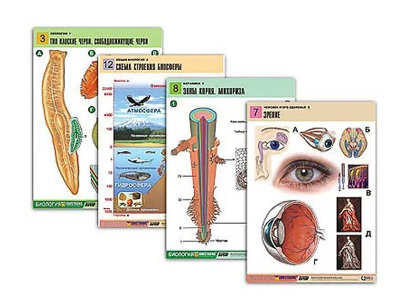 Таблицы по всему курсу биологии 120 шт.