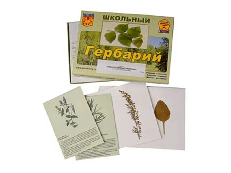 Гербарий "Лекарственные растения" — учебный набор