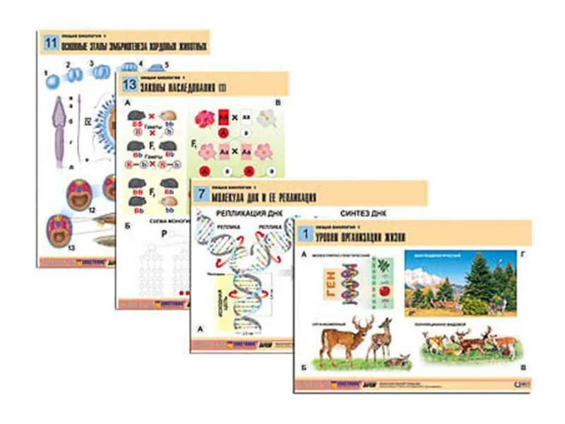 Таблицы по биологии Общая биология-1, 16 шт.