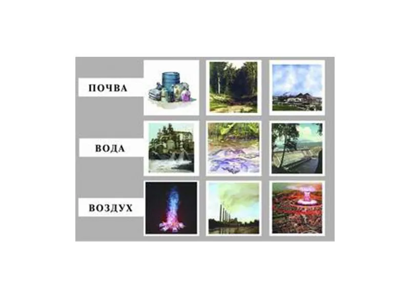 Модель-аппликация "Биосфера и человек" для уроков биологии