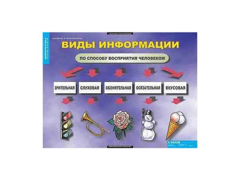 Демонстрационные таблицы «Введение в информатику» 68×98 см
