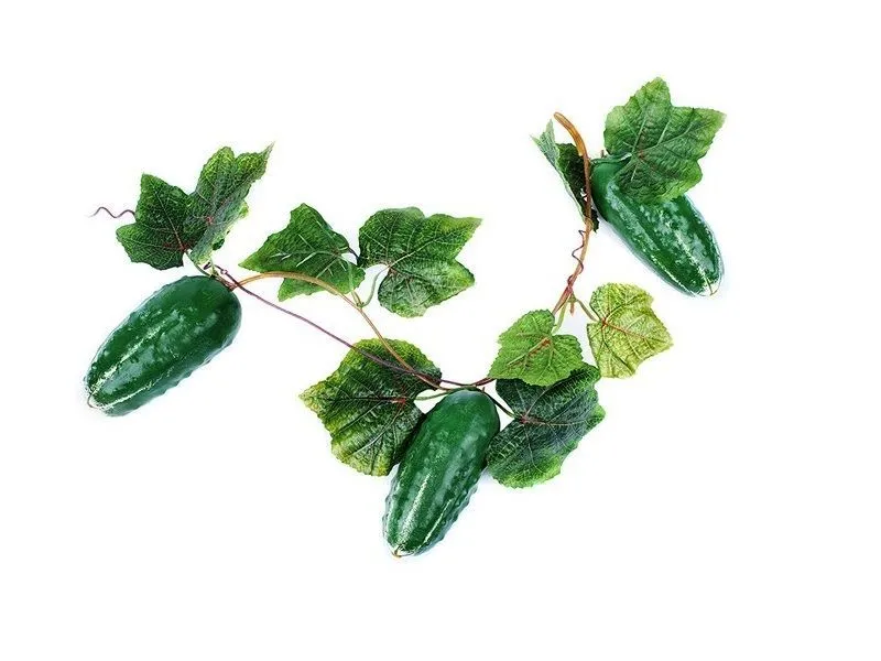 Муляж огурцов на ветке, натуральные цвета