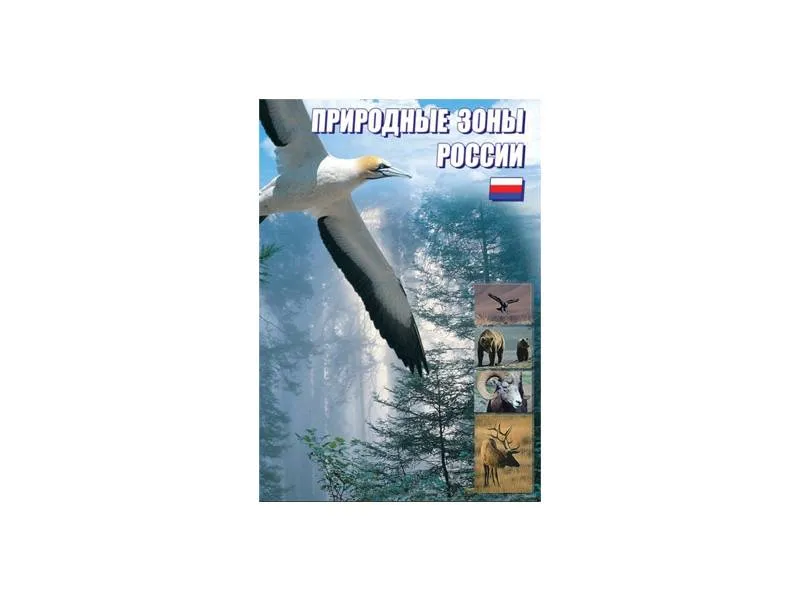 DVD «Природные зоны России» — образовательный фильм