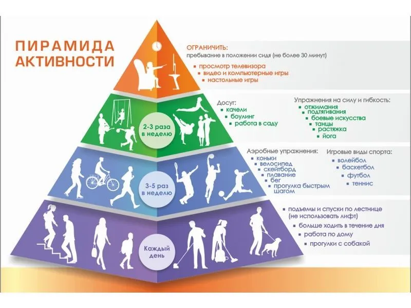 Стенд «Пирамида физической активности» — ПВХ 3 мм