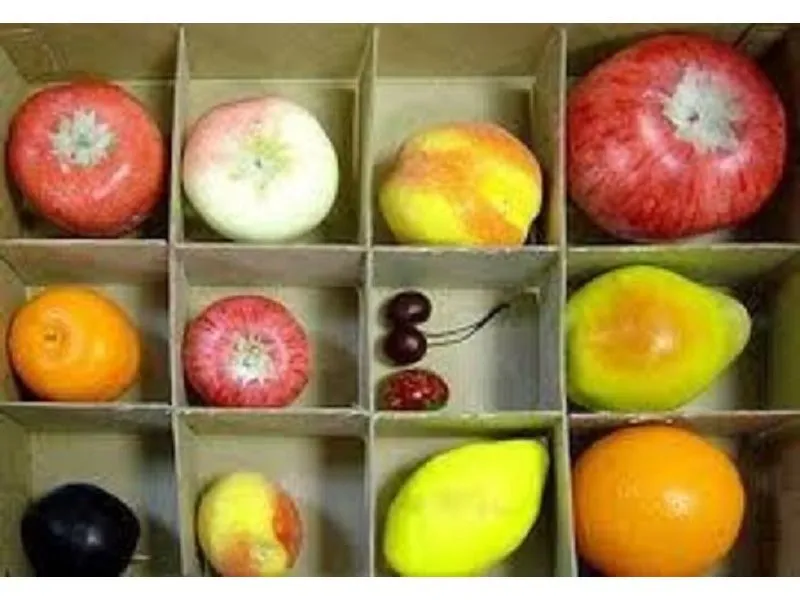 Набор муляжей для рисования — 13 шт.