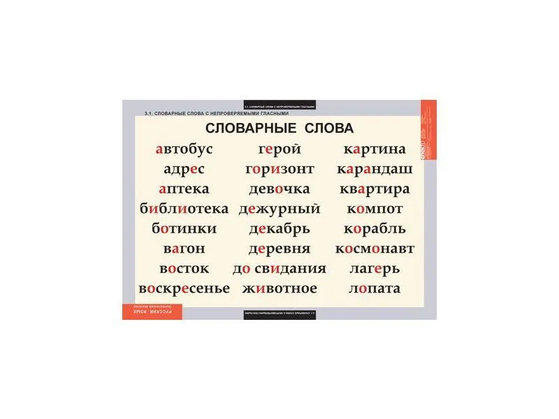 Таблицы «Словарные слова», 68×98 см