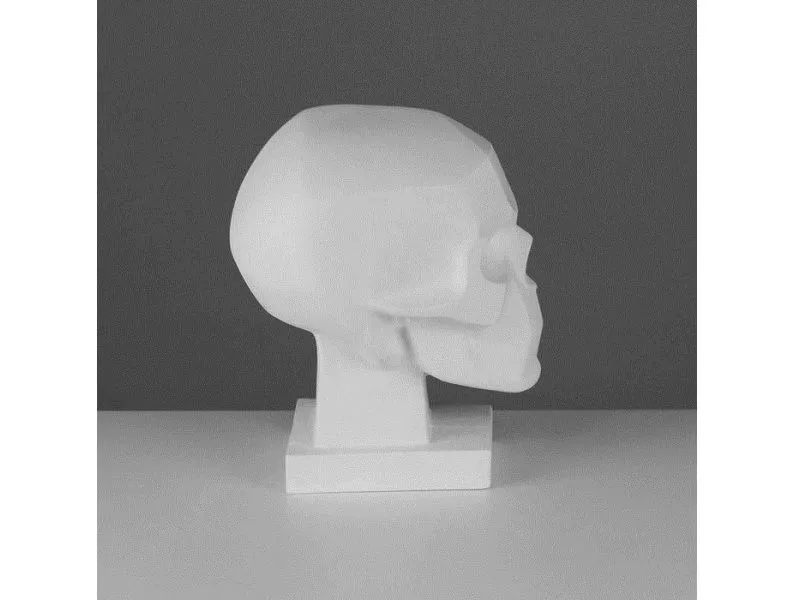 Череп человека — гипсовая обрубовка 165×200×230 мм