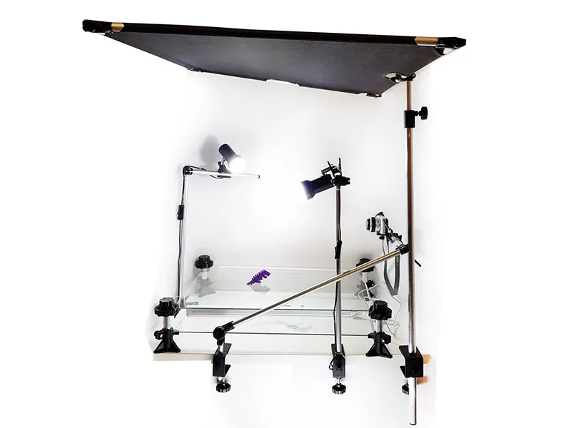 Мультстудия Профессионал