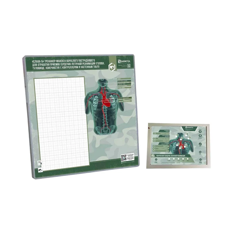 Тренажер для освоения навыков СЛР взрослого Слава-5