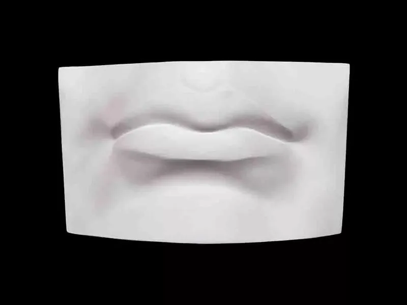 Гипсовая модель губ человека, увеличенная