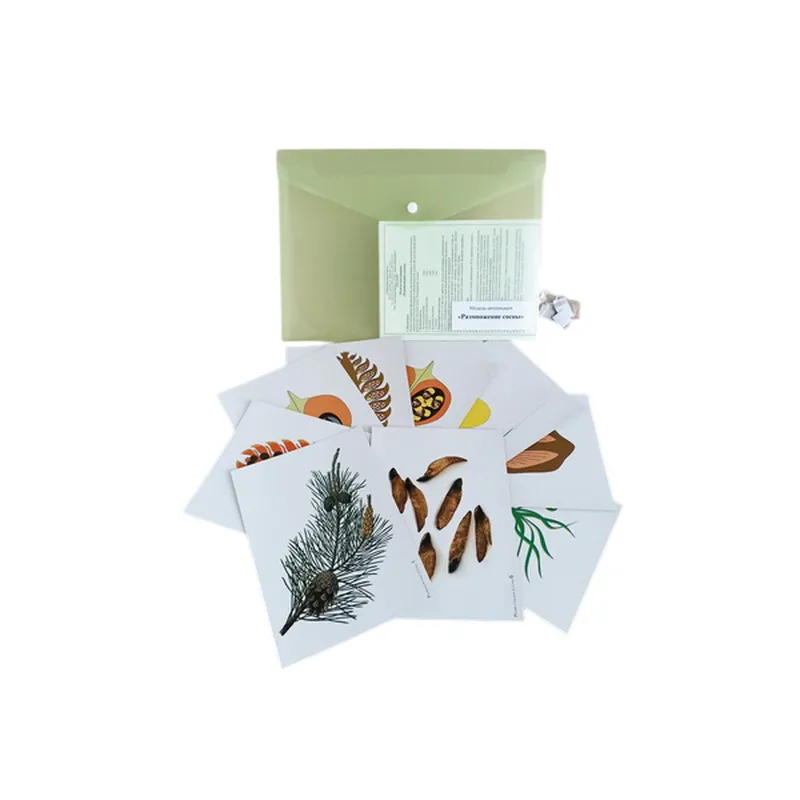 Комплект демонстрационных моделей-аппликаций (3 модели)