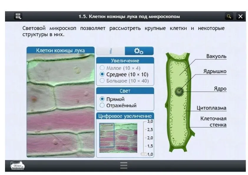 ЭОР Биология — 10 класс (лицензия 5 лет)