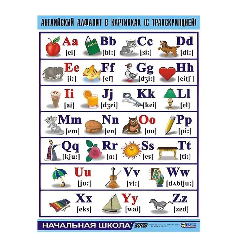 Таблица Английский алфавит в картинках (с транскрипцией) винил 70х100