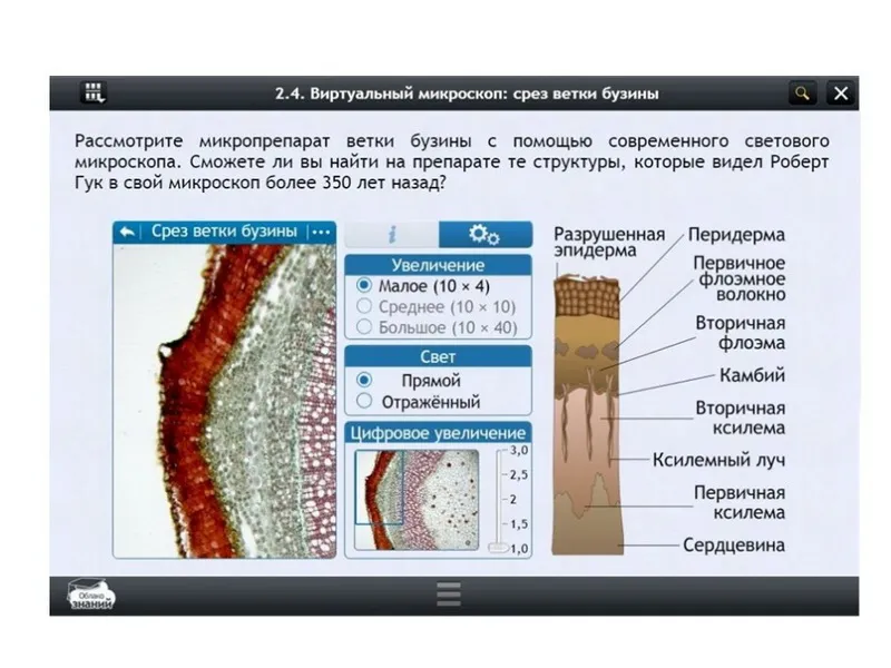 Электронные образовательные ресурсы по предмету Биология (5 класс)