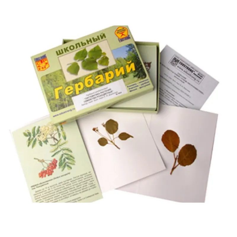Гербарий «Розоцветные» (раздаточный)