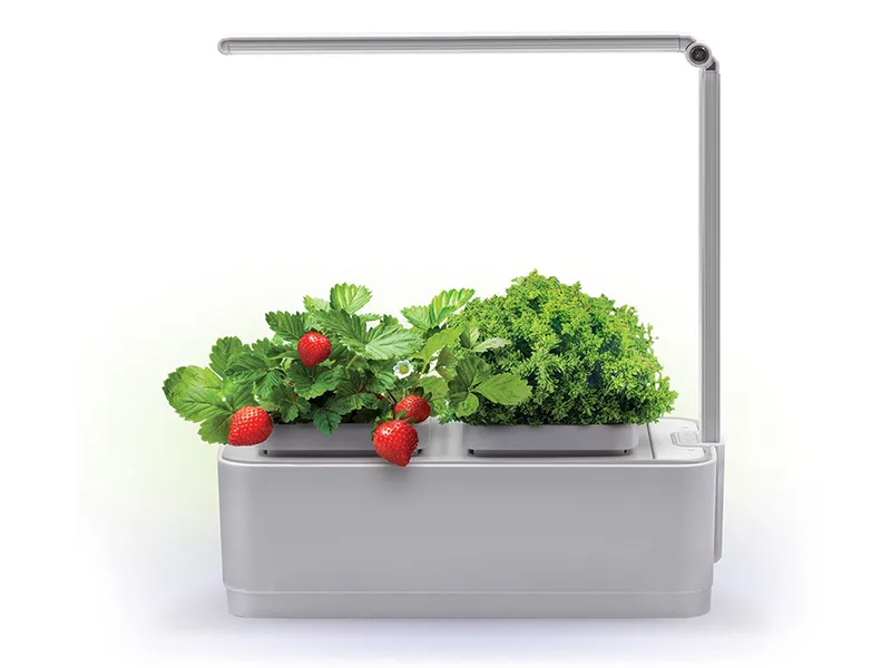 Смарт-сад iGarden на основе гидропоники с LED подсветкой 