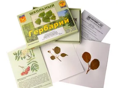 Гербарий «Систематика растений. Розоцветные» (раздаточный)