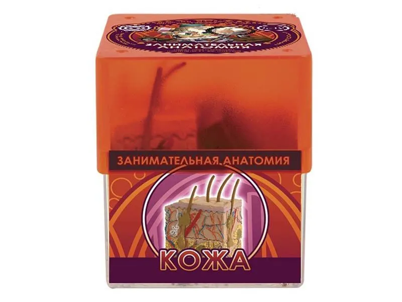 Набор Профессор Эйн: Кожа