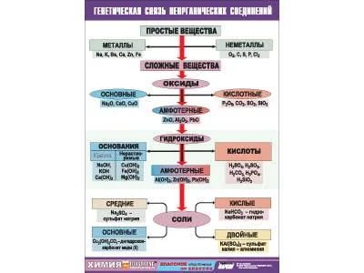Демонстрационная таблица «Генетическая связь» 70×100 см