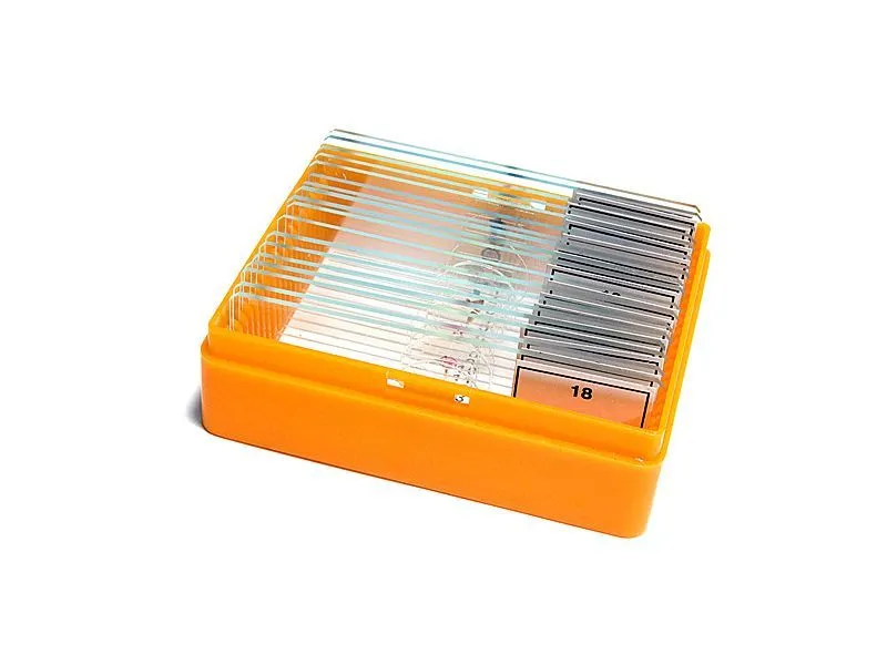 Набор микропрепаратов Levenhuk N18 NG — 18 готовых препаратов