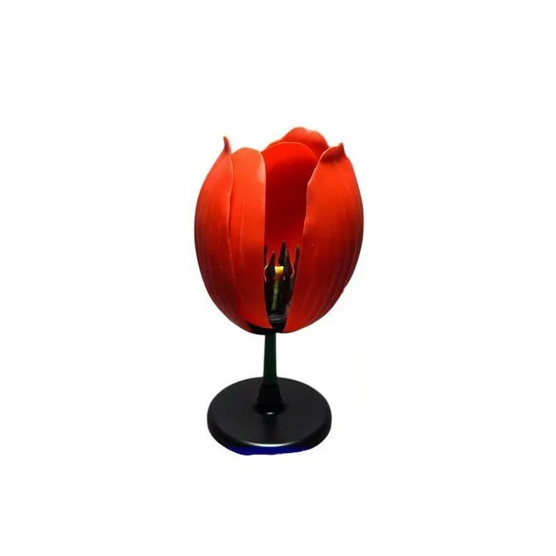 Комплект моделей «Из мира биологии» — 9 моделей