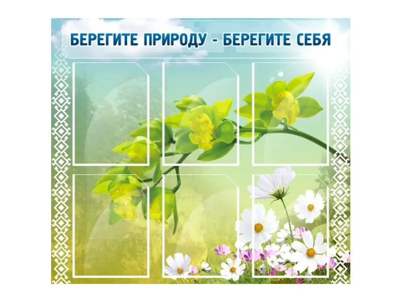 Стенд Берегите природу - берегите себя