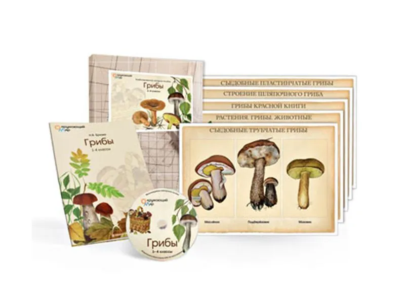 Электронное пособие «Грибы» (CD и 10 постеров)