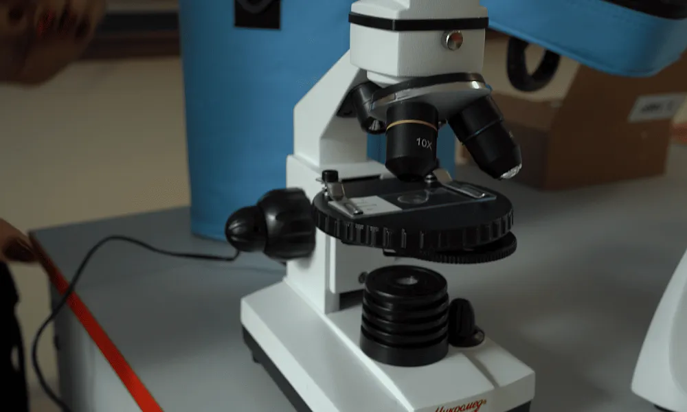 Кабинет биологии