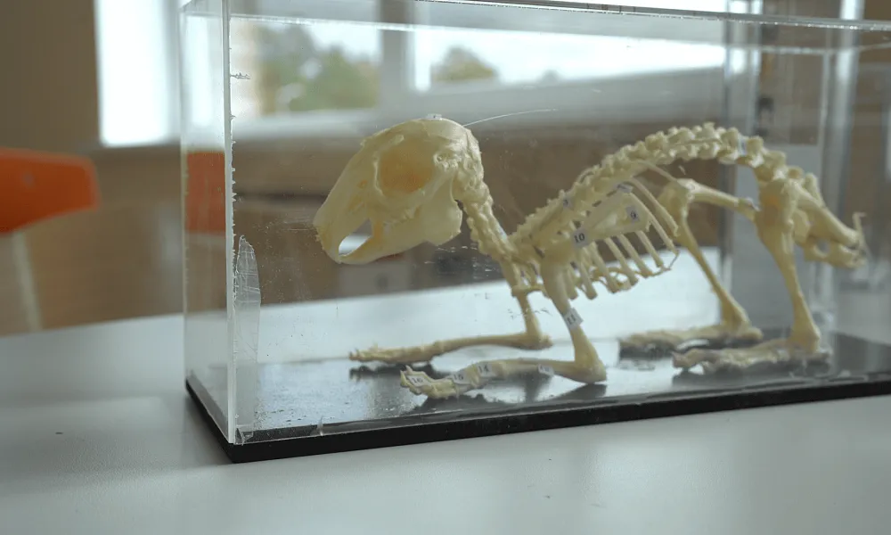 Кабинет биологии