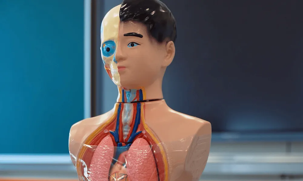 Кабинет биологии