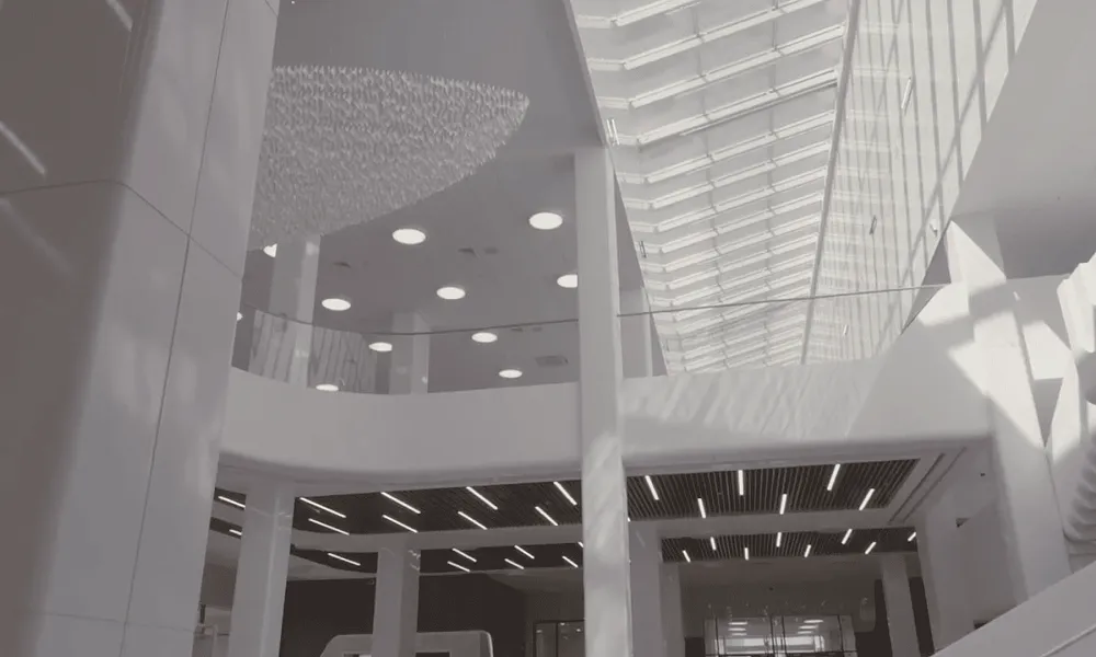 Холлы (коридоры)