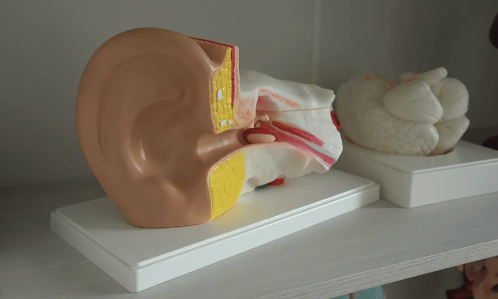 Кабинет биологии