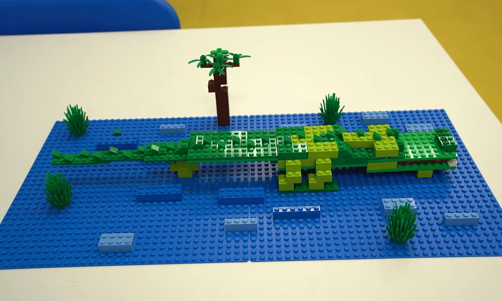 Гостиная конструктора