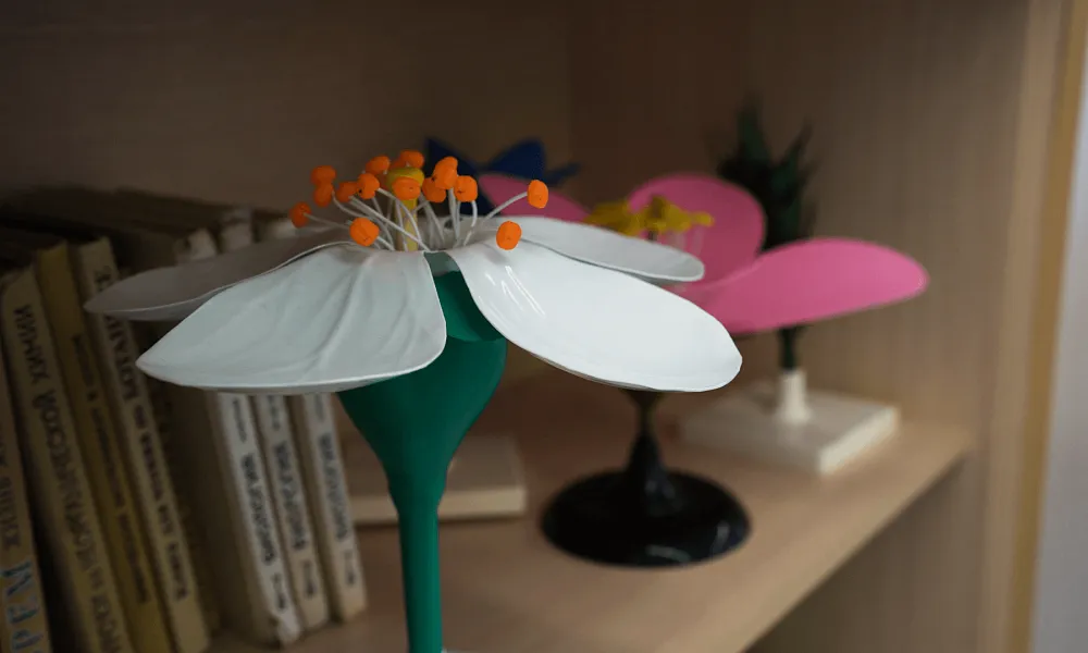 Кабинет биологии