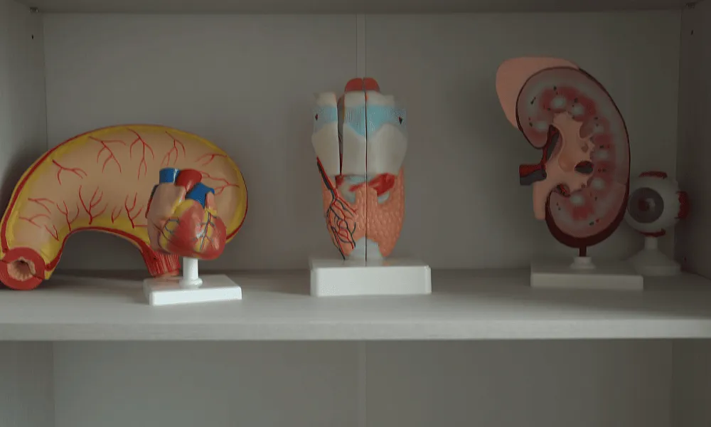 Кабинет биологии