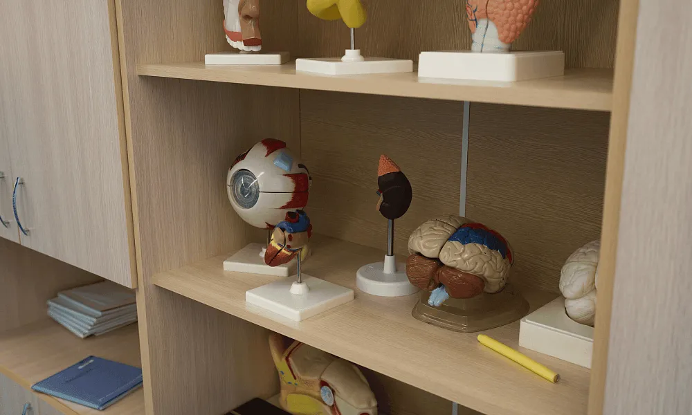 Кабинет биологии