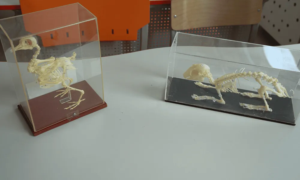 Кабинет биологии