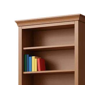 Мебель для библиотек