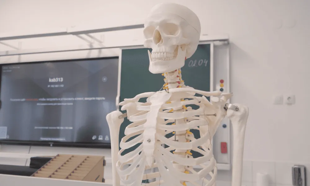 Кабинет биологии